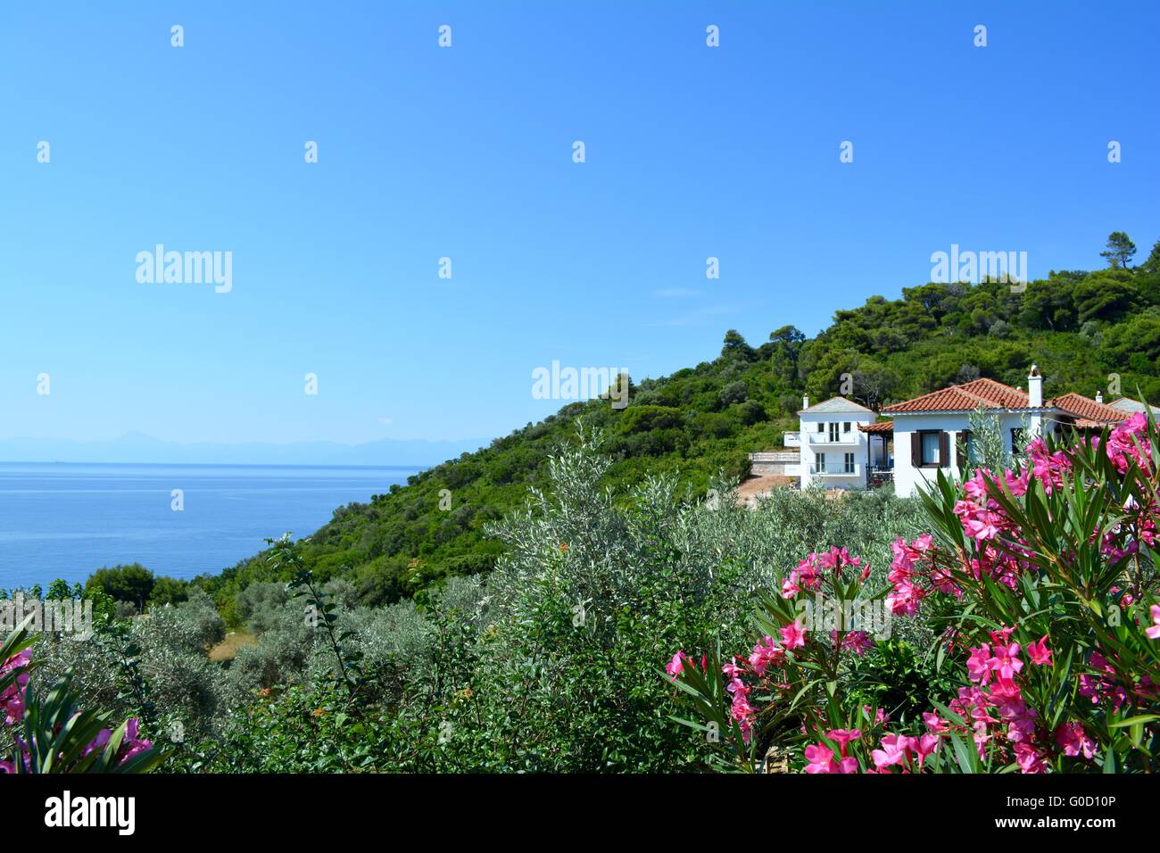 View of a villa on a hillside on the island of Skopelos, Greece Stock Photo
