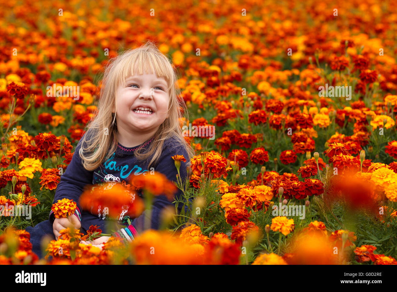 A girl in a flower field Stock Photo