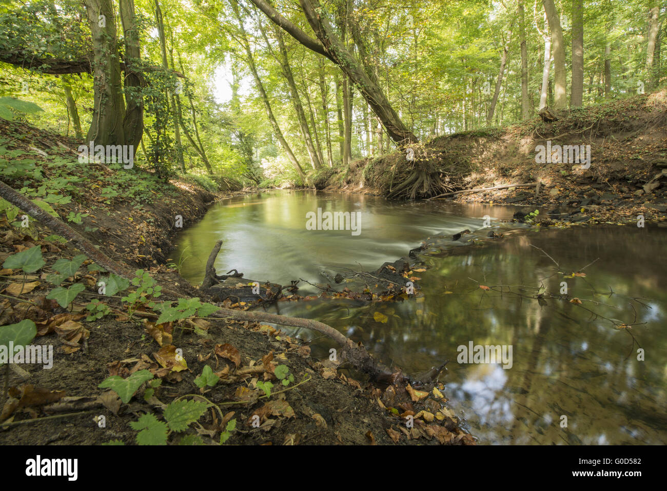Protected Dutch Brook Stock Photo Alamy