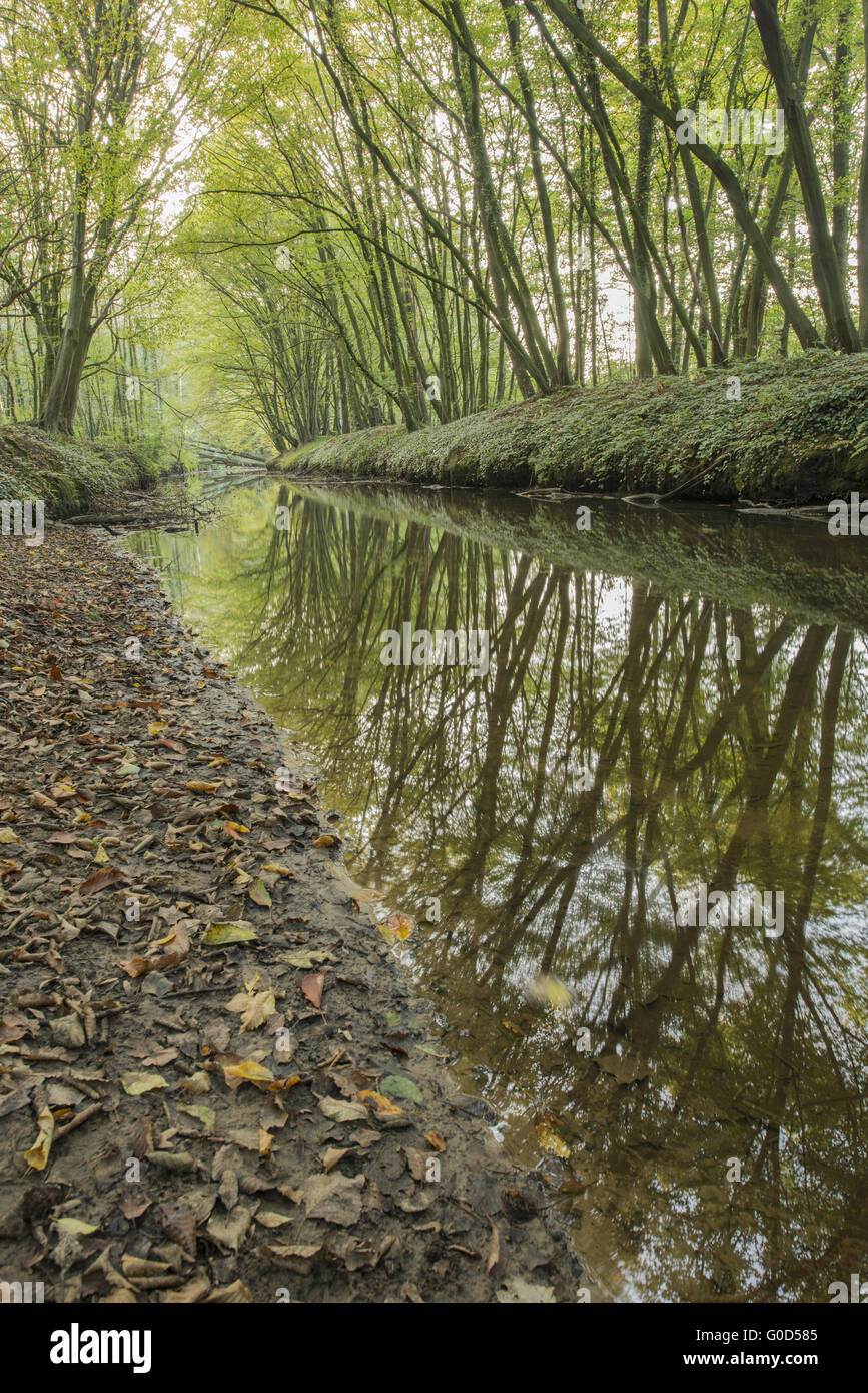 Holland brook hires stock photography and images Alamy