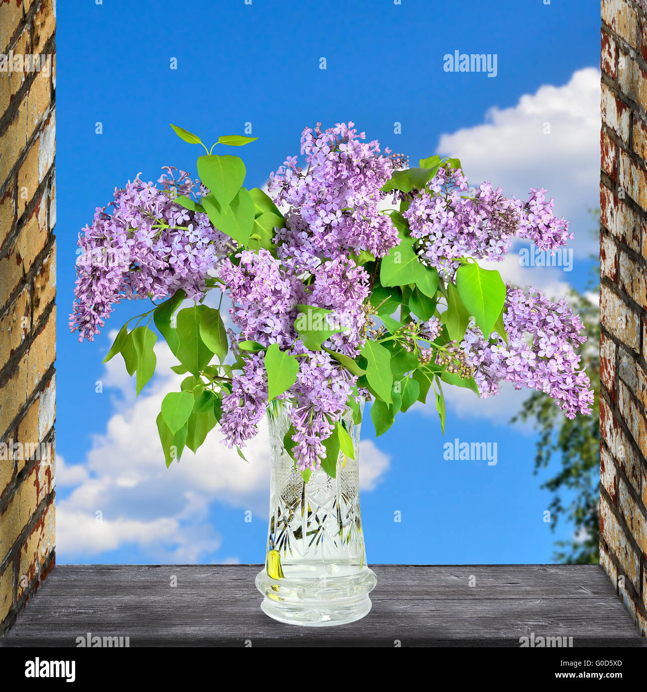 Lilac Flowers Bouquet Stock Photo