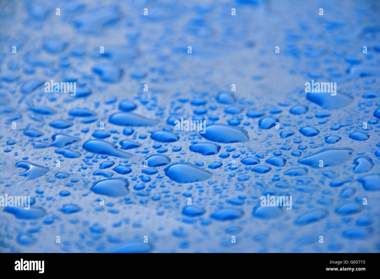 Water droplets on a blue background Stock Photo