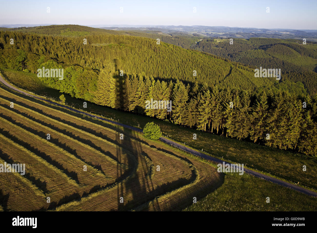 Schomberg hires stock photography and images Alamy