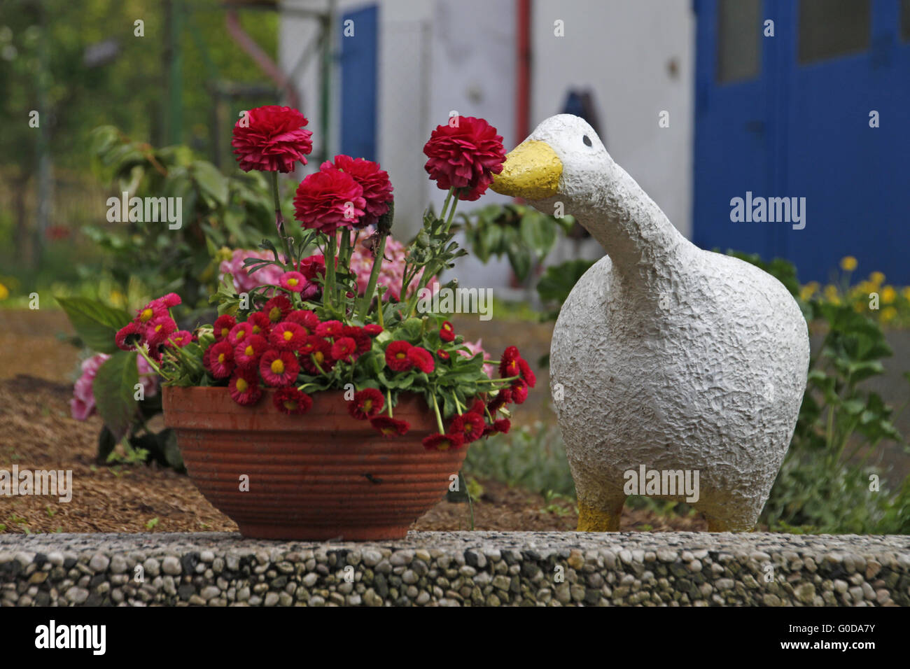 flowers with goose Stock Photo