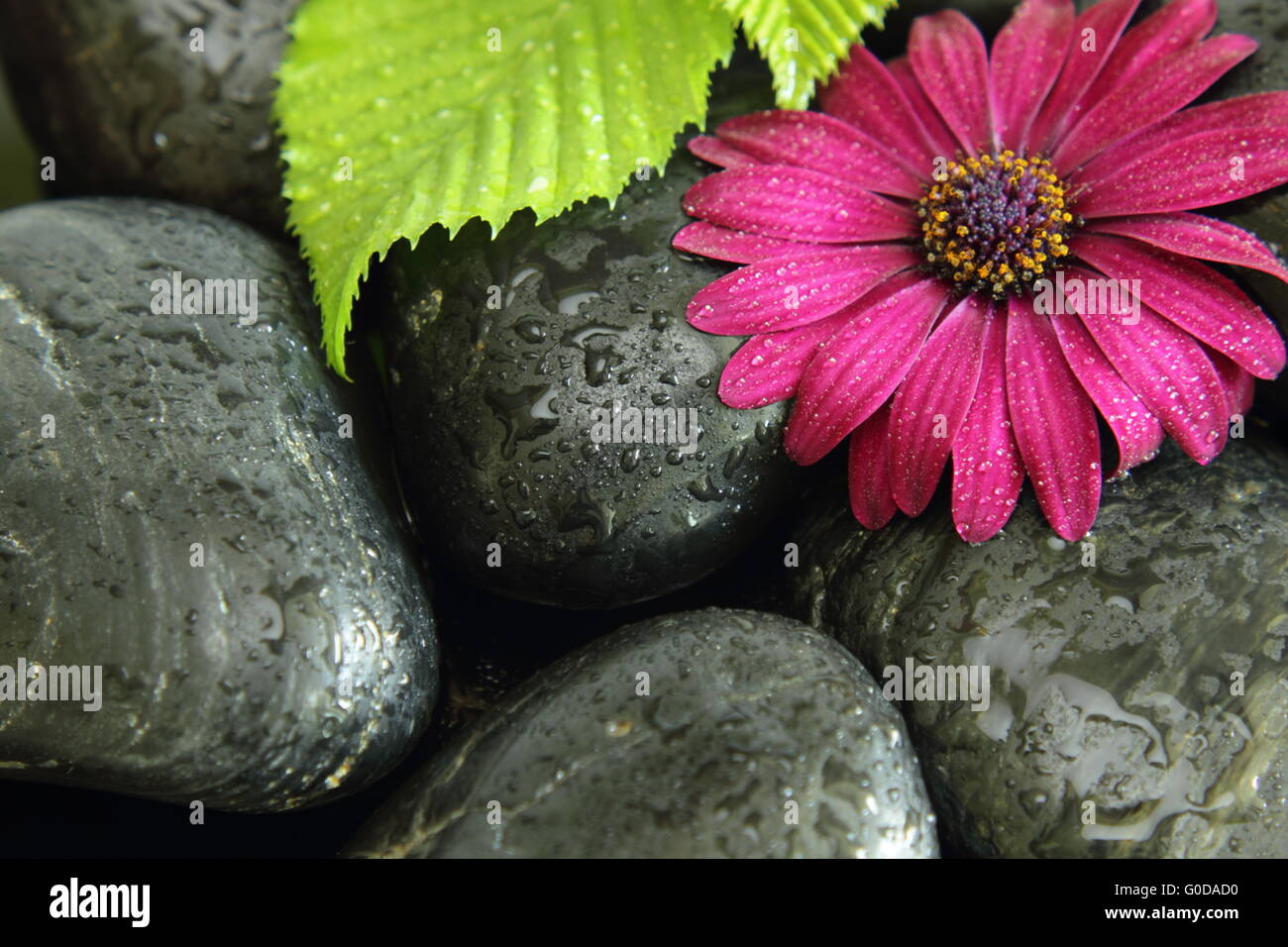 hot stone background Stock Photo