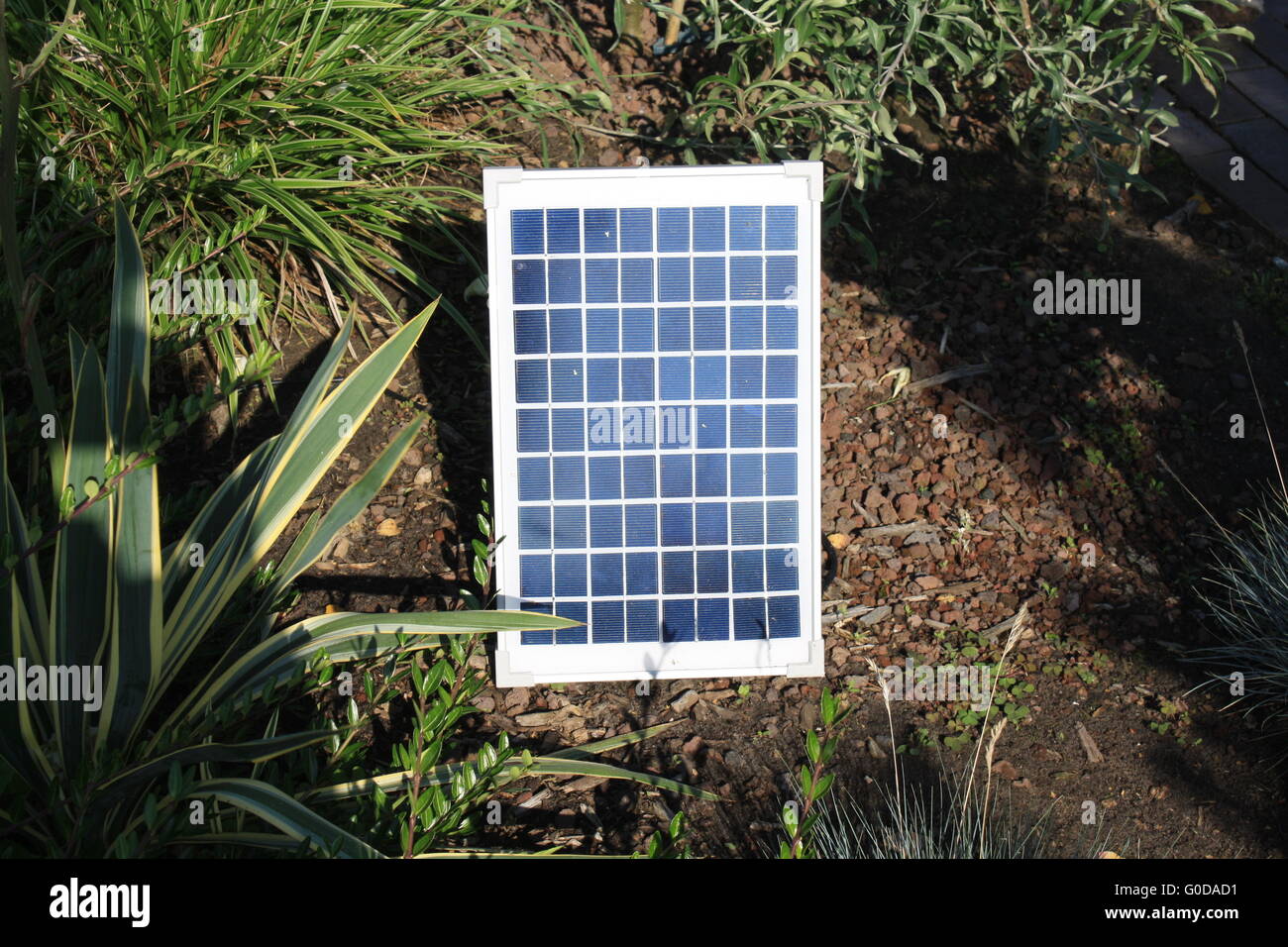 small solar field in the garden Stock Photo