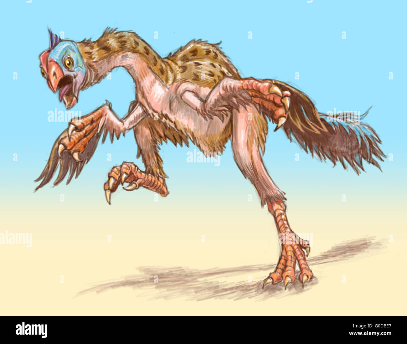 The original angry bird. An agitated gigantoraptor dinosaur runs toward the viewer, flapping its wings or arms. Stock Photo