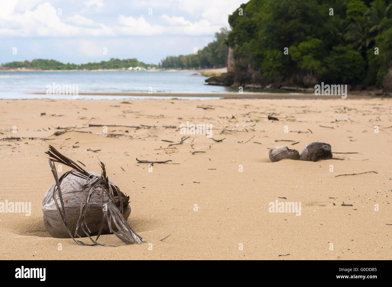 Desiccated Coconut on Beach Stock Photo