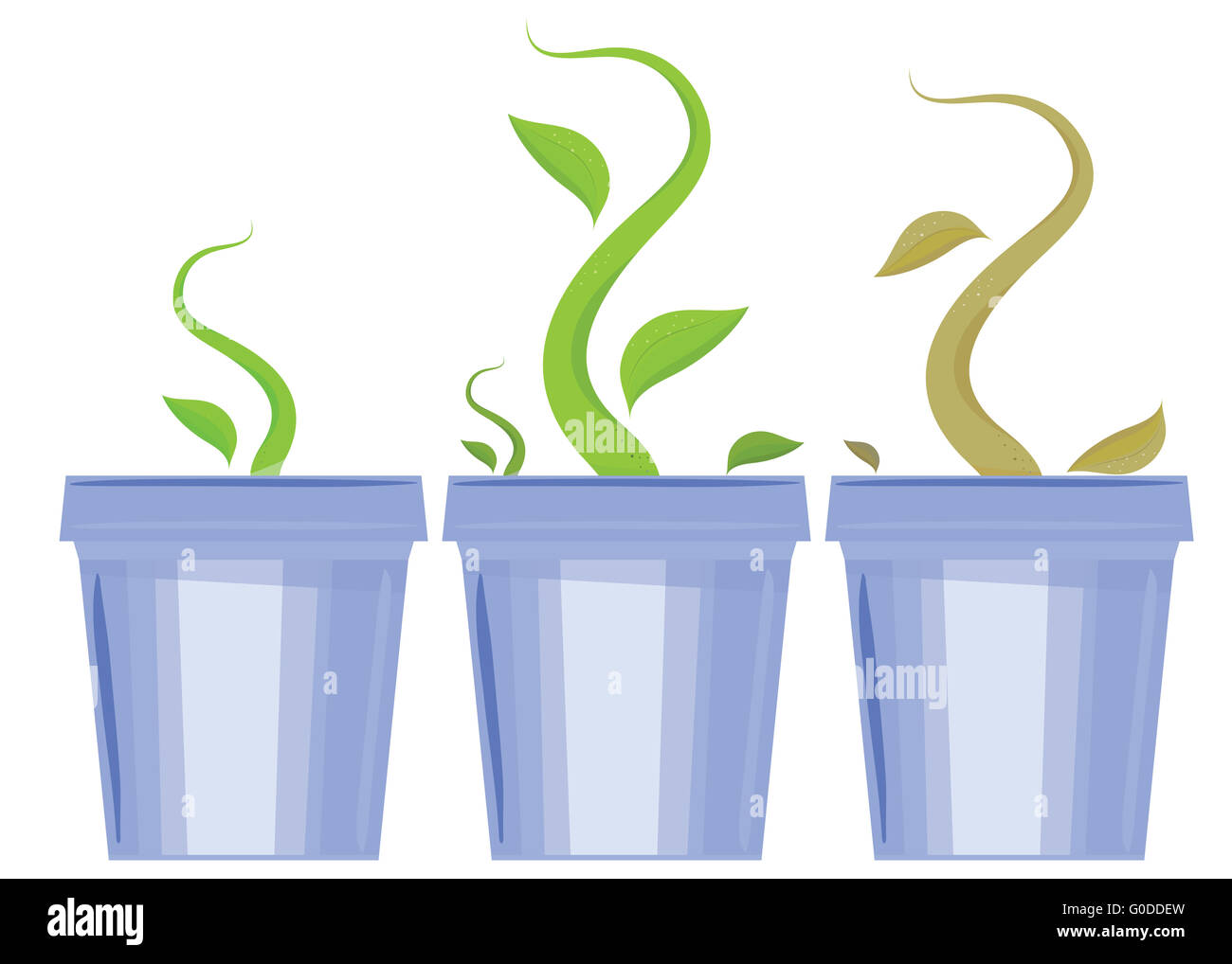 set of flower pots. Shoots and death of plants Stock Photo Alamy