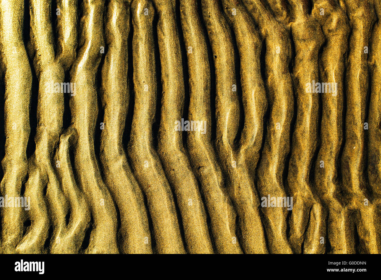 Distinctive Rippled Pattern Sand rippled pattern on beach Stock Photo - Alamy