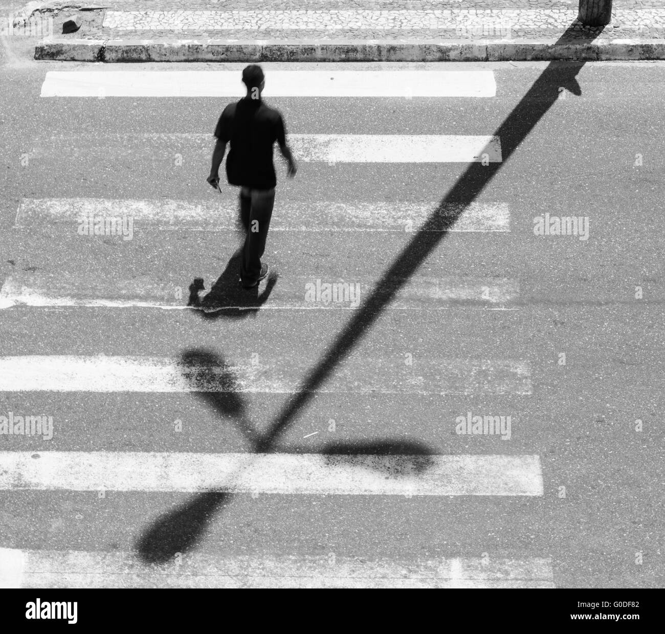 Zebra Crossing Black and White Stock Photos & Images Alamy