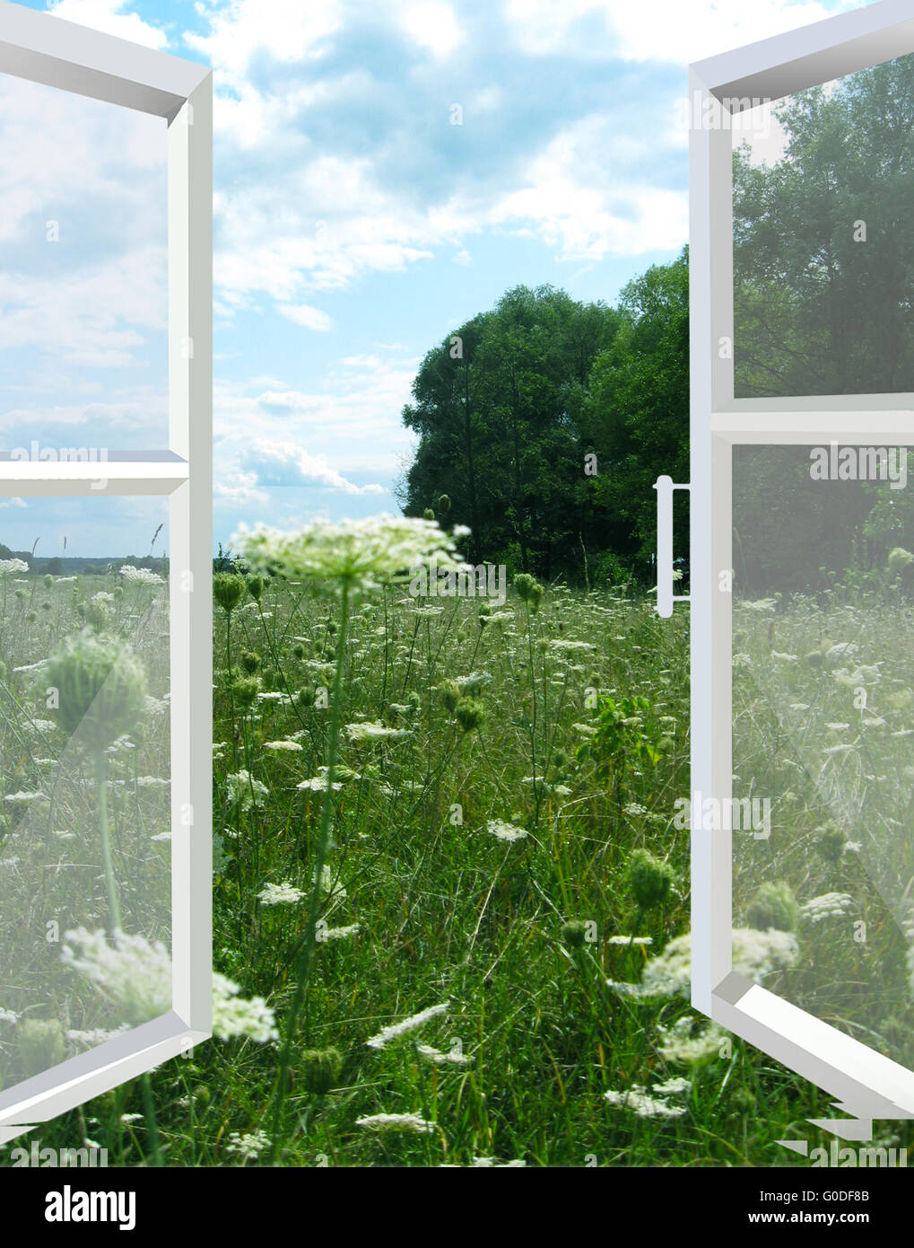 Window Flower Field View opened window to the summer field with flowers Stock Photo - Alamy