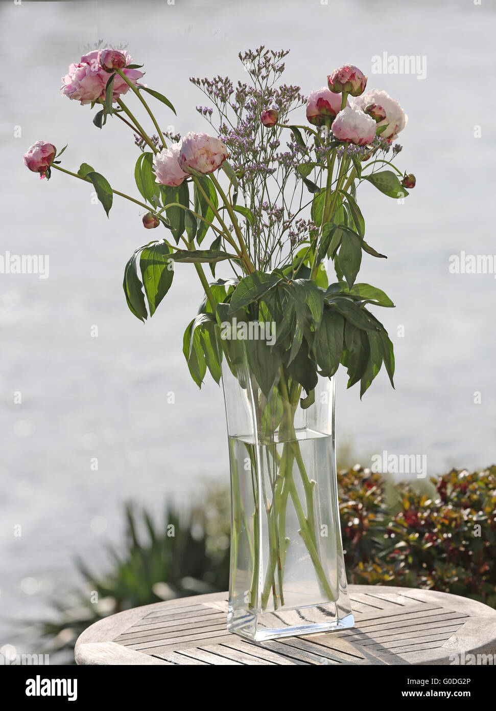 Bunch of peonies in a glas vase Stock Photo