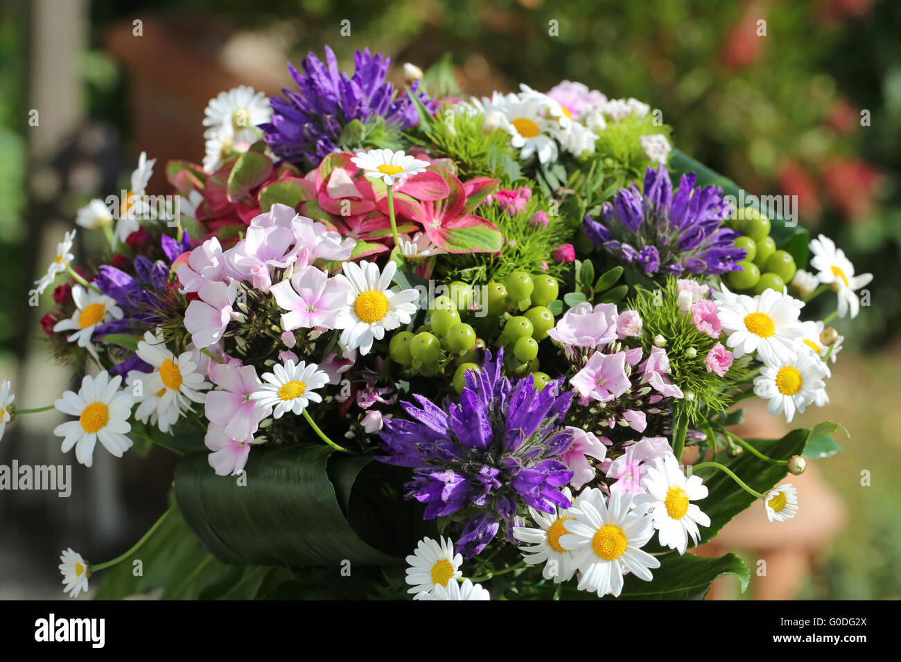 French Daisy Bouquet Stock Photo
