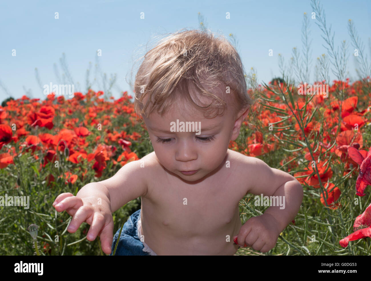 Cute White Baby Playing with Flowers at the Garden Stock Photo