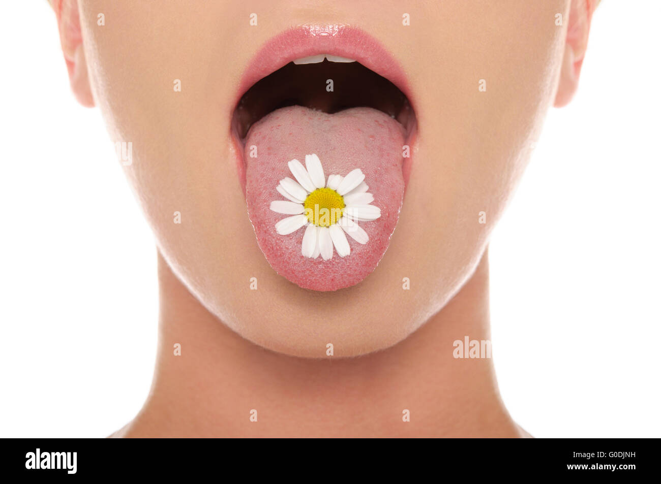 Chamomile is on his tongue hanging out woman Stock Photo