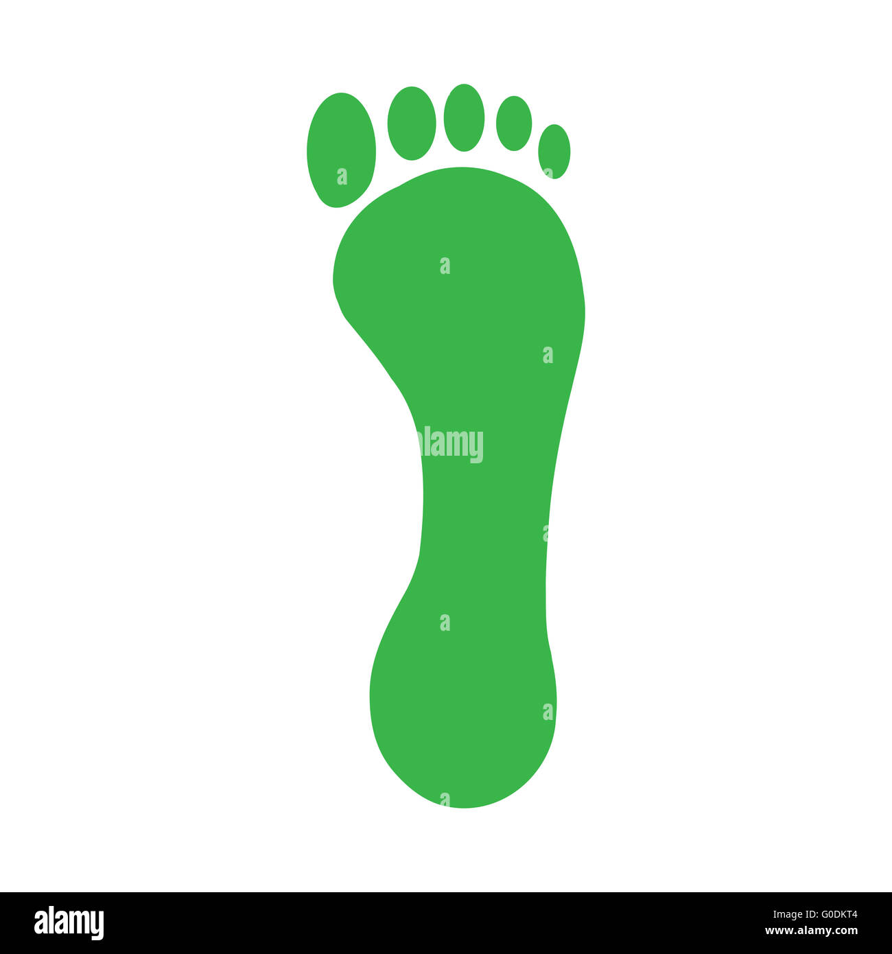Green footprint of a human foot and toes Stock Photo Alamy
