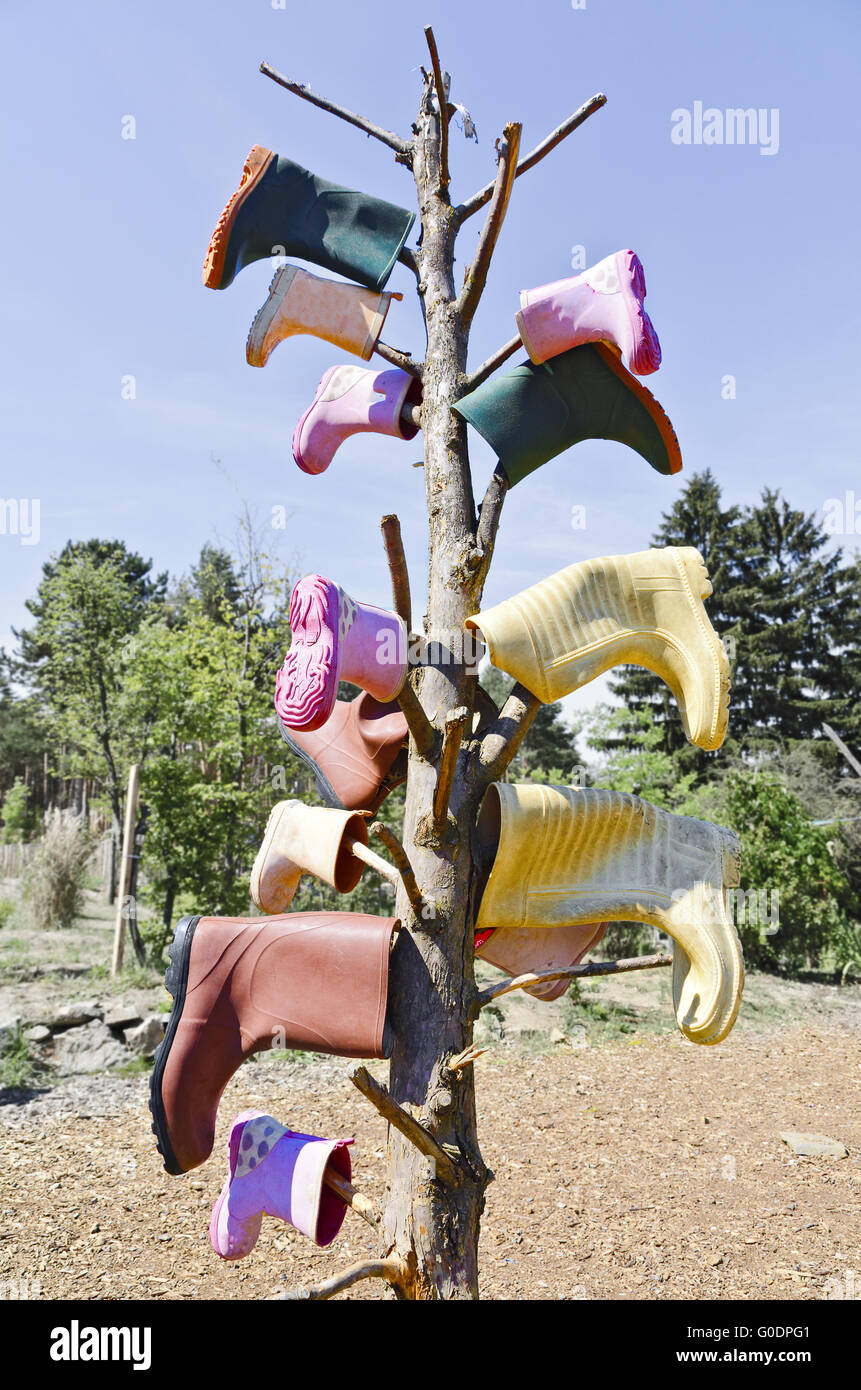 colorful rubber boots sticking on a bald tree Stock Photo