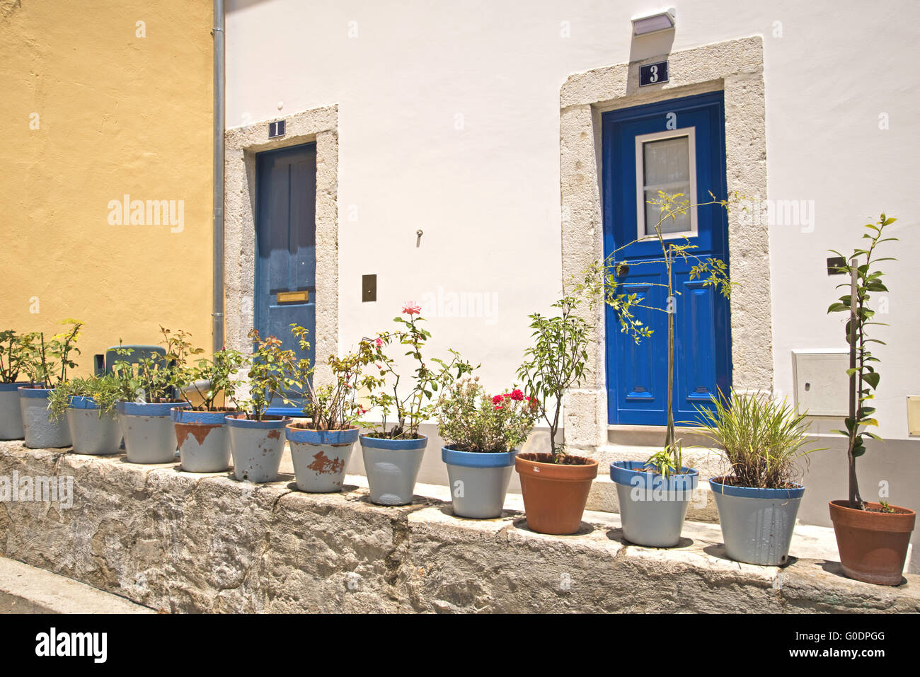 Flower pots in front of two entrances Stock Photo