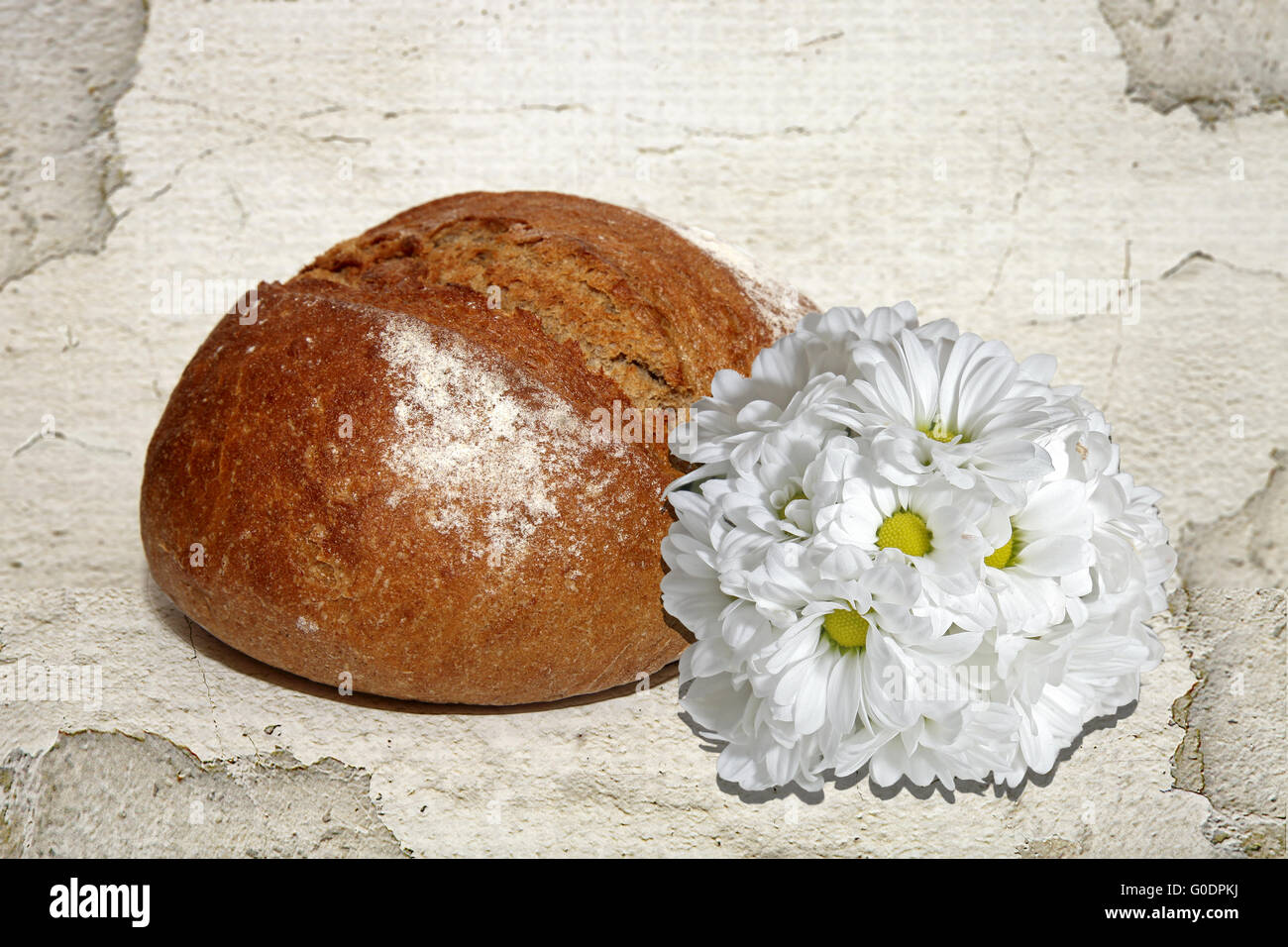 Chysanthemen hires stock photography and images Alamy