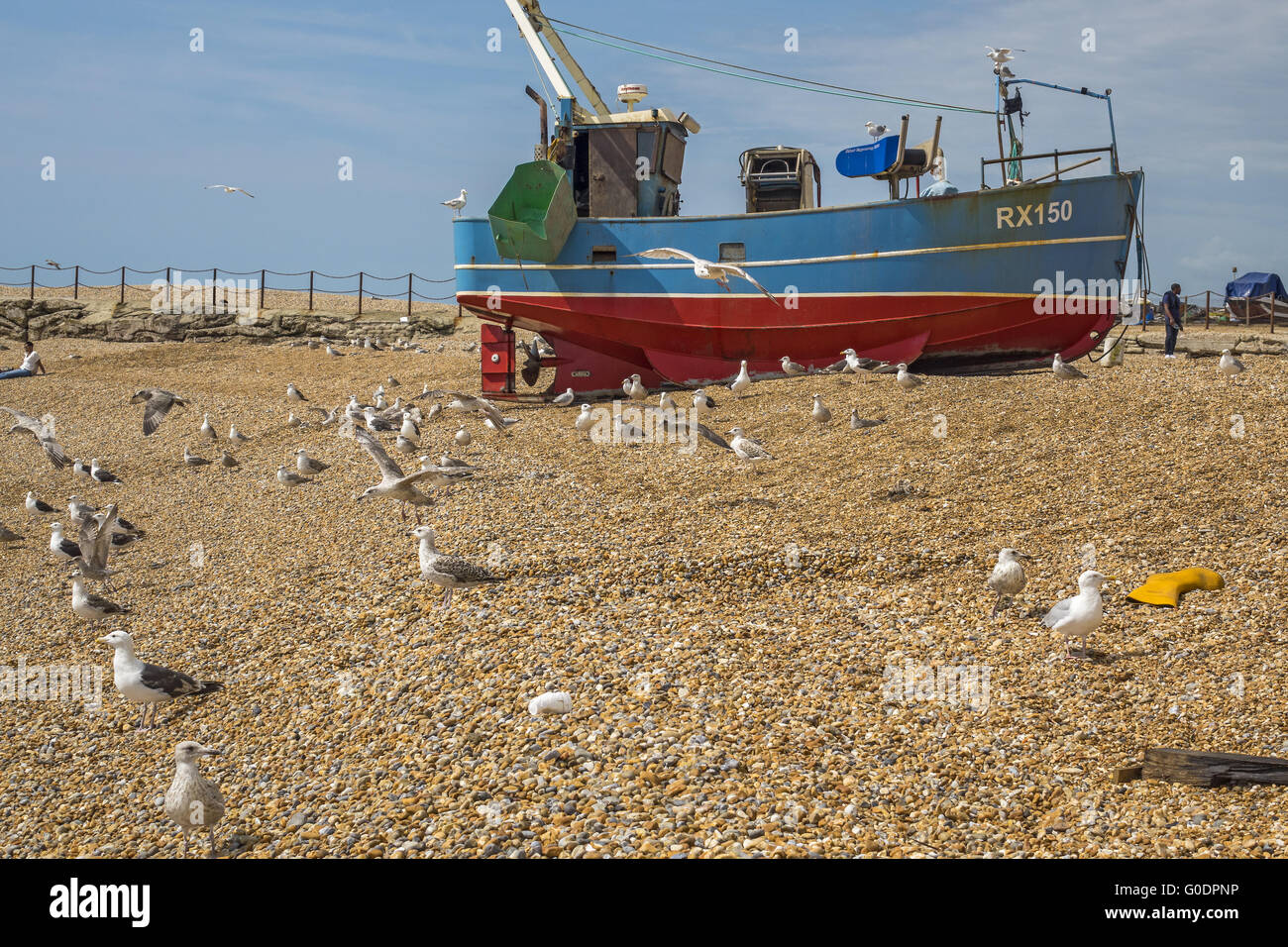 Fishing Boats and Birds On The Beach Hastings UK Stock Photo Alamy