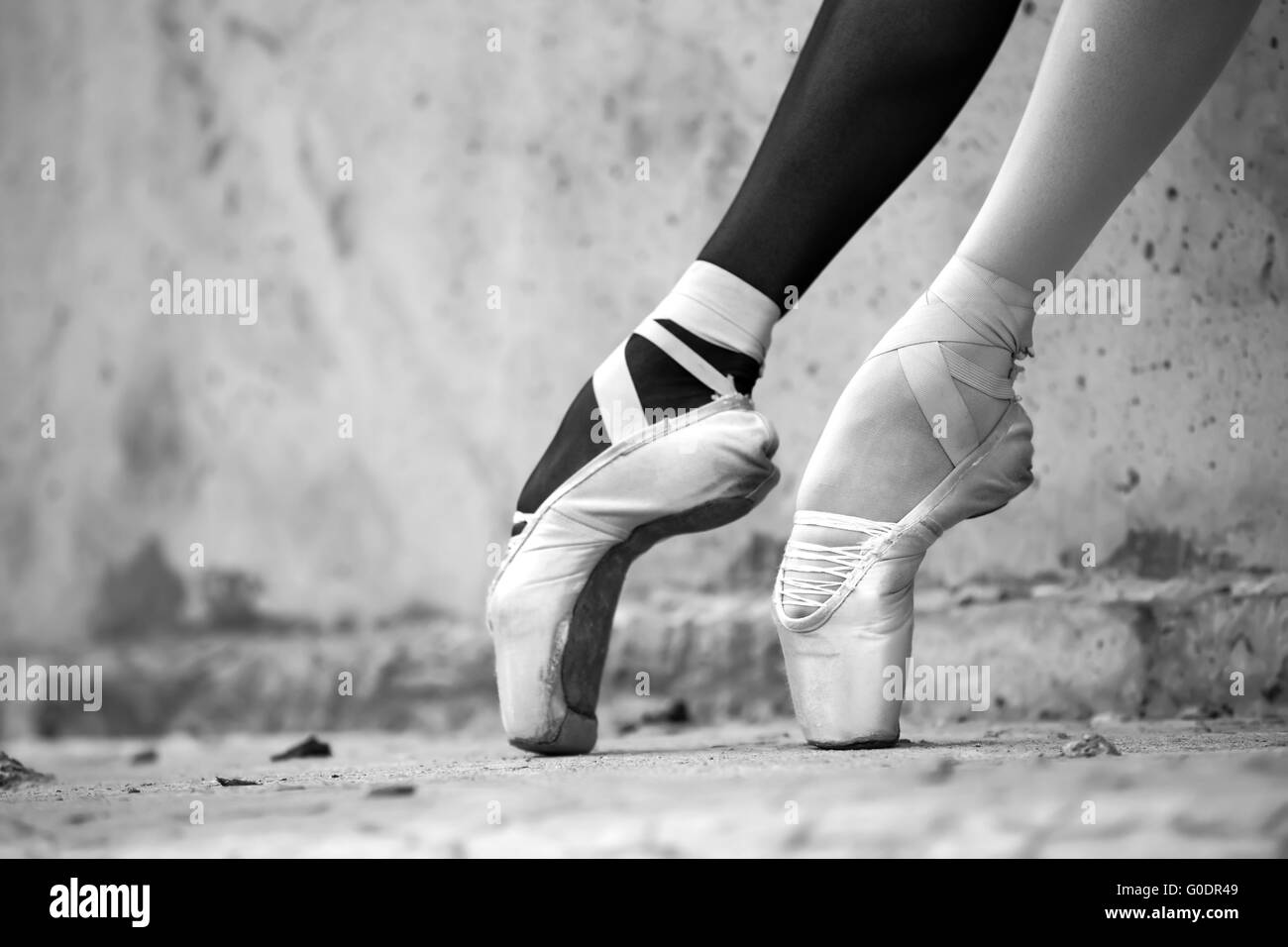Margot clearance fonteyn feet