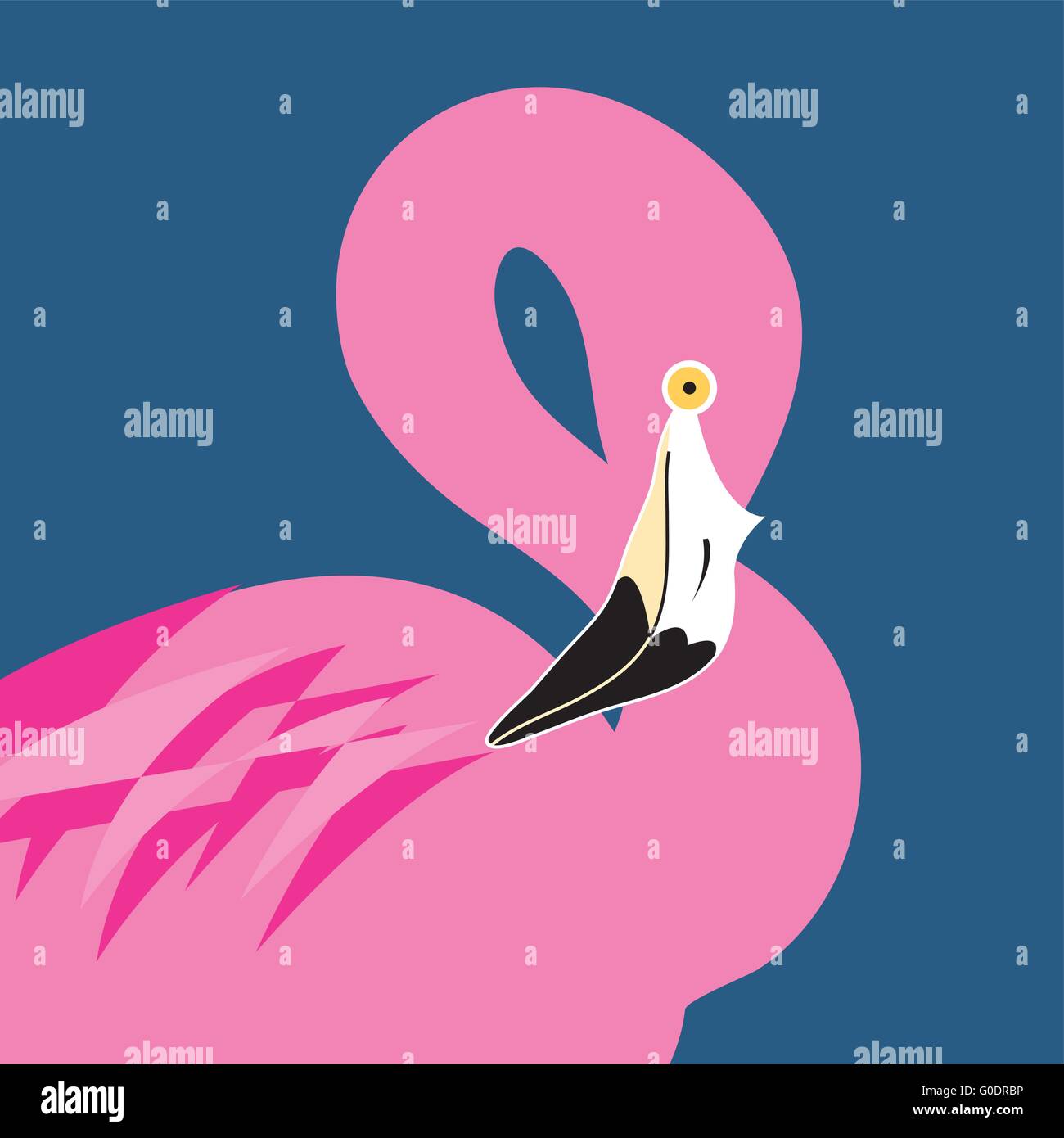 Vector portrait of pink flamingos Stock Vector Image & Art - Alamy