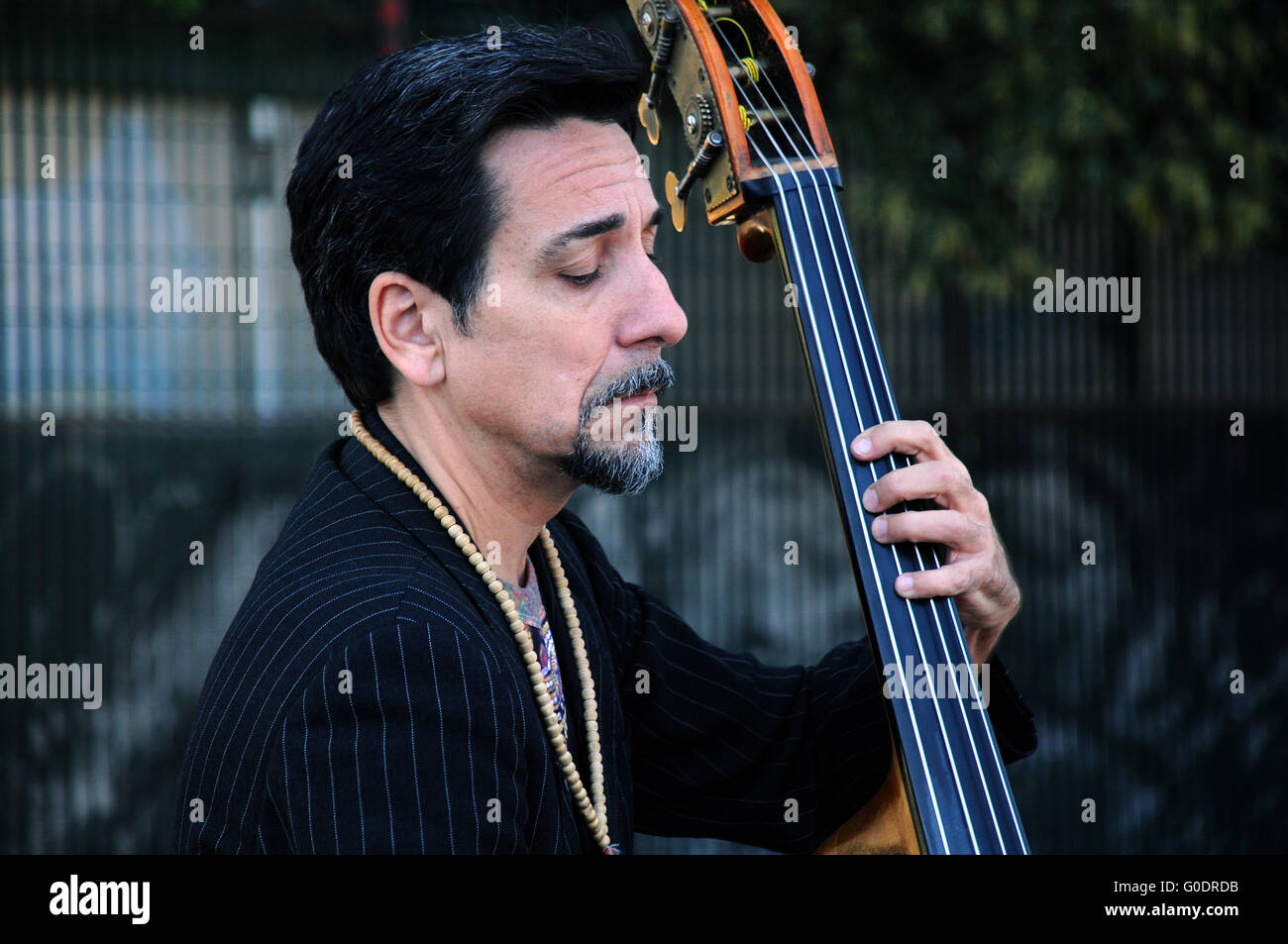Portrait of Contrabass Player Stock Photo - Alamy