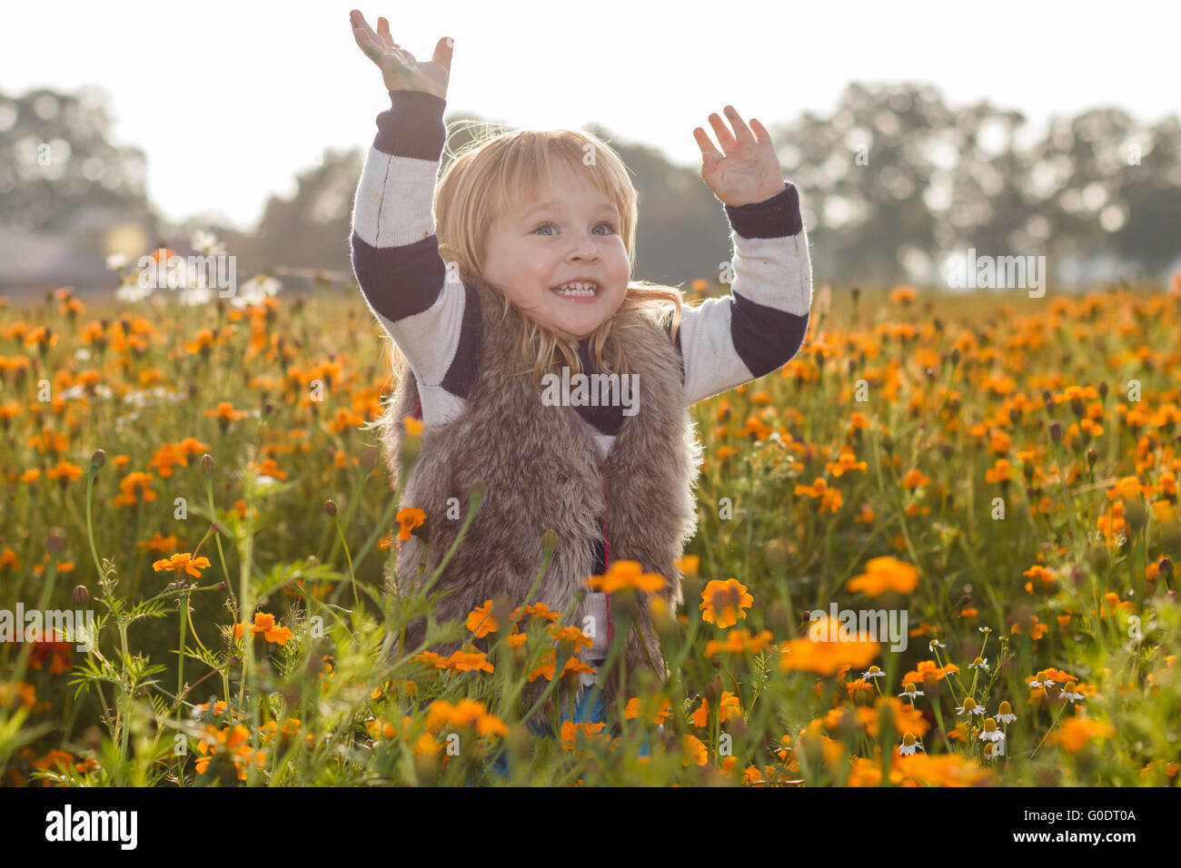 Girl in a meadow Stock Photo