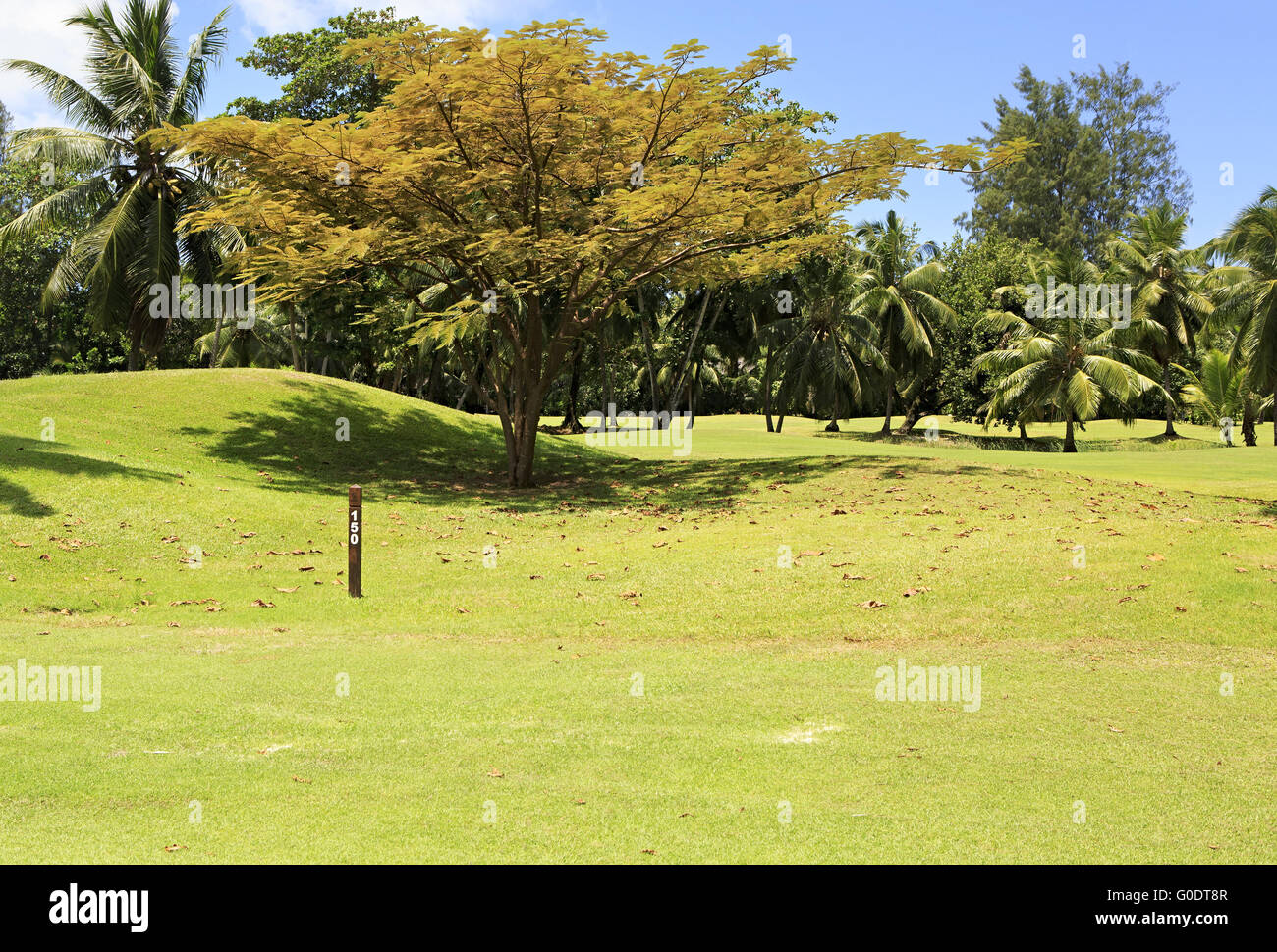 Beautiful golf course at the Constance Lemuria Resort. Stock Photo