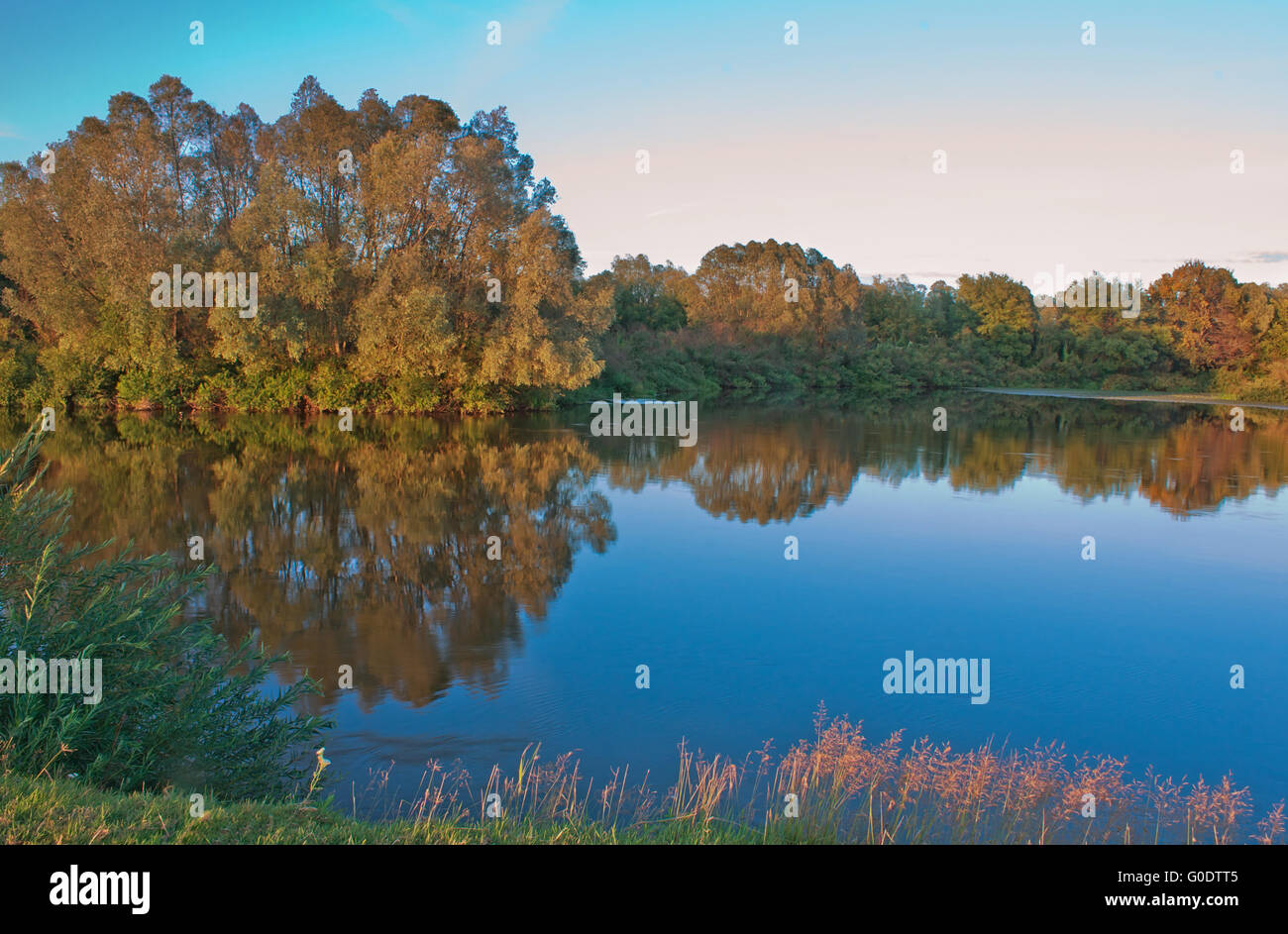 Early Misty Morning Near The River Stock Photo Alamy