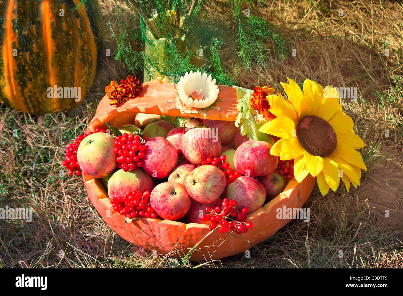 Harvest vegetables sold at the fair Stock Photo