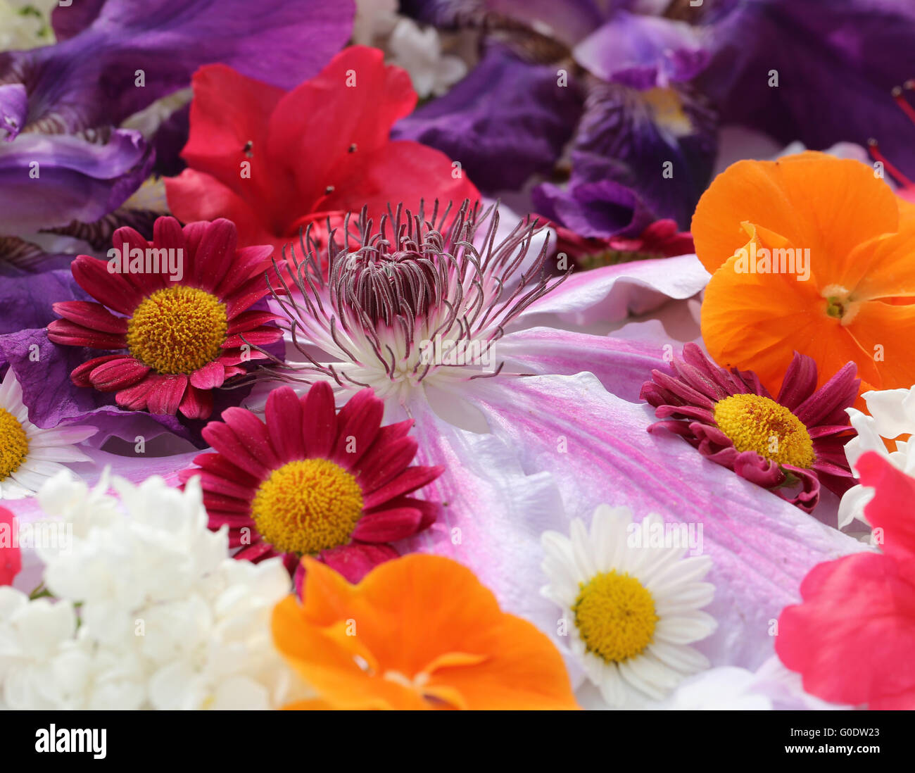 Blossom Deco Stock Photo
