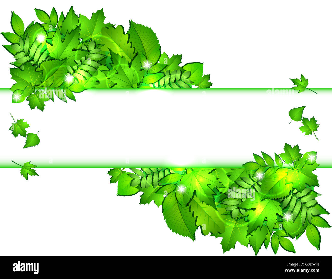 Nature background with green fresh leaves Stock Photo - Alamy