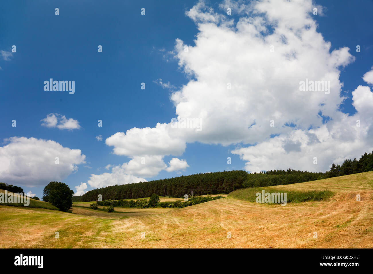 Landscape at Troebnitz Stock Photo
