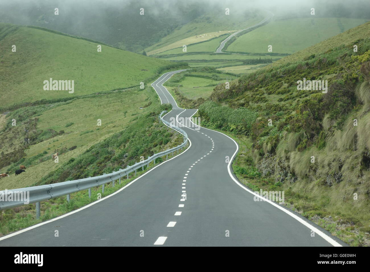 Road Curves Stock Photo Alamy different-types-of-highway-curves-and-their-importance
