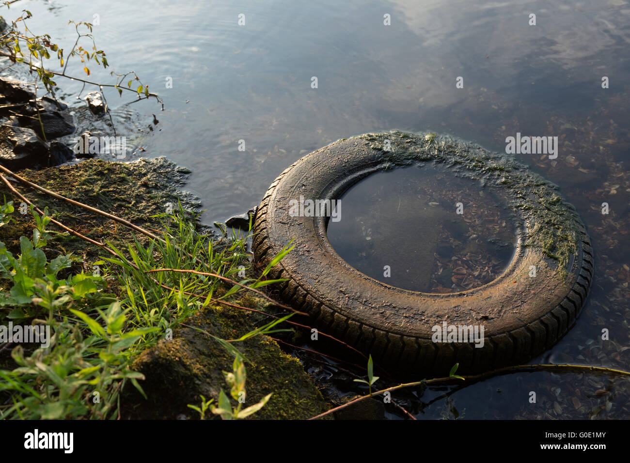 Car tire in the water Stock Photo Alamy