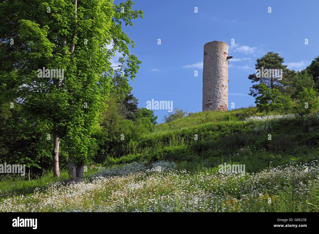 Medieval tower in Warburg, Germany Stock Photo Alamy