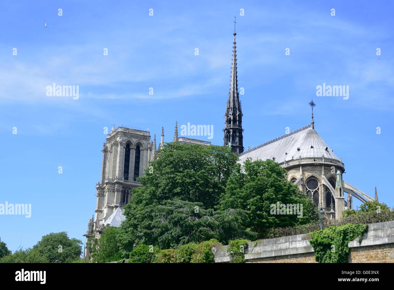 Cathedral of Notredame  from seine Stock Photo