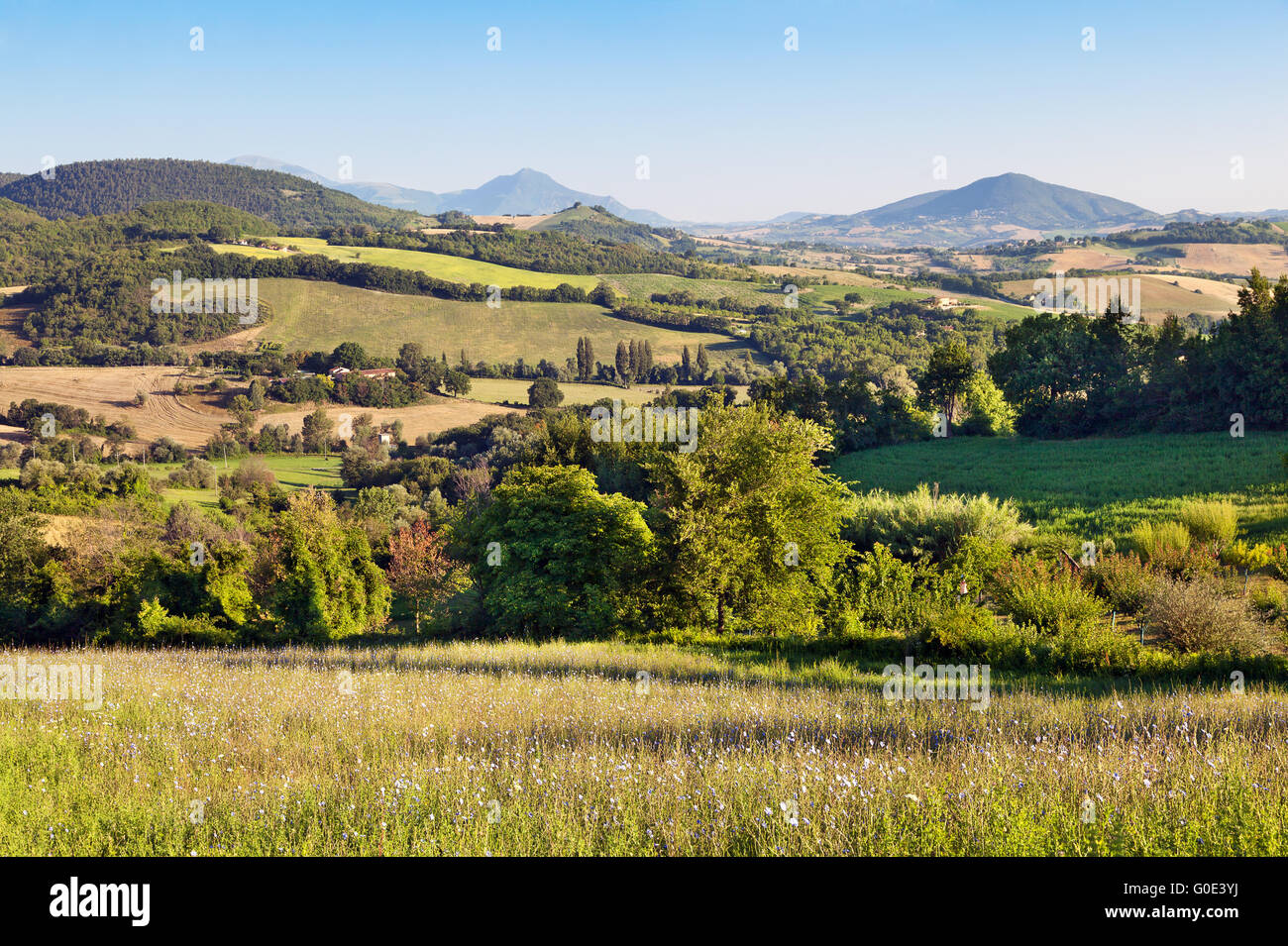 Hilly countryside of le Marche, Italy Stock Photo