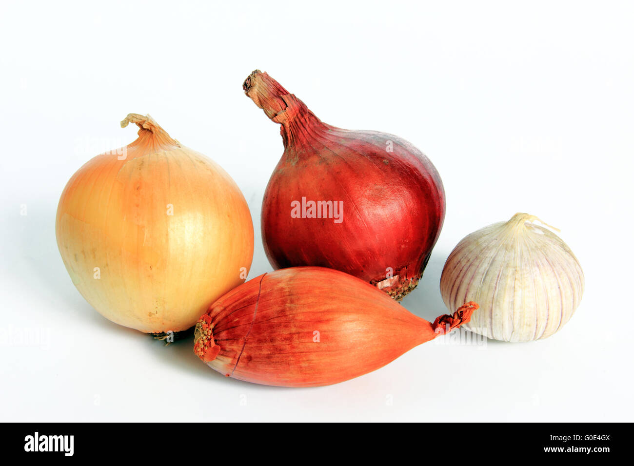 Onion varieties hi-res stock photography and images - Alamy