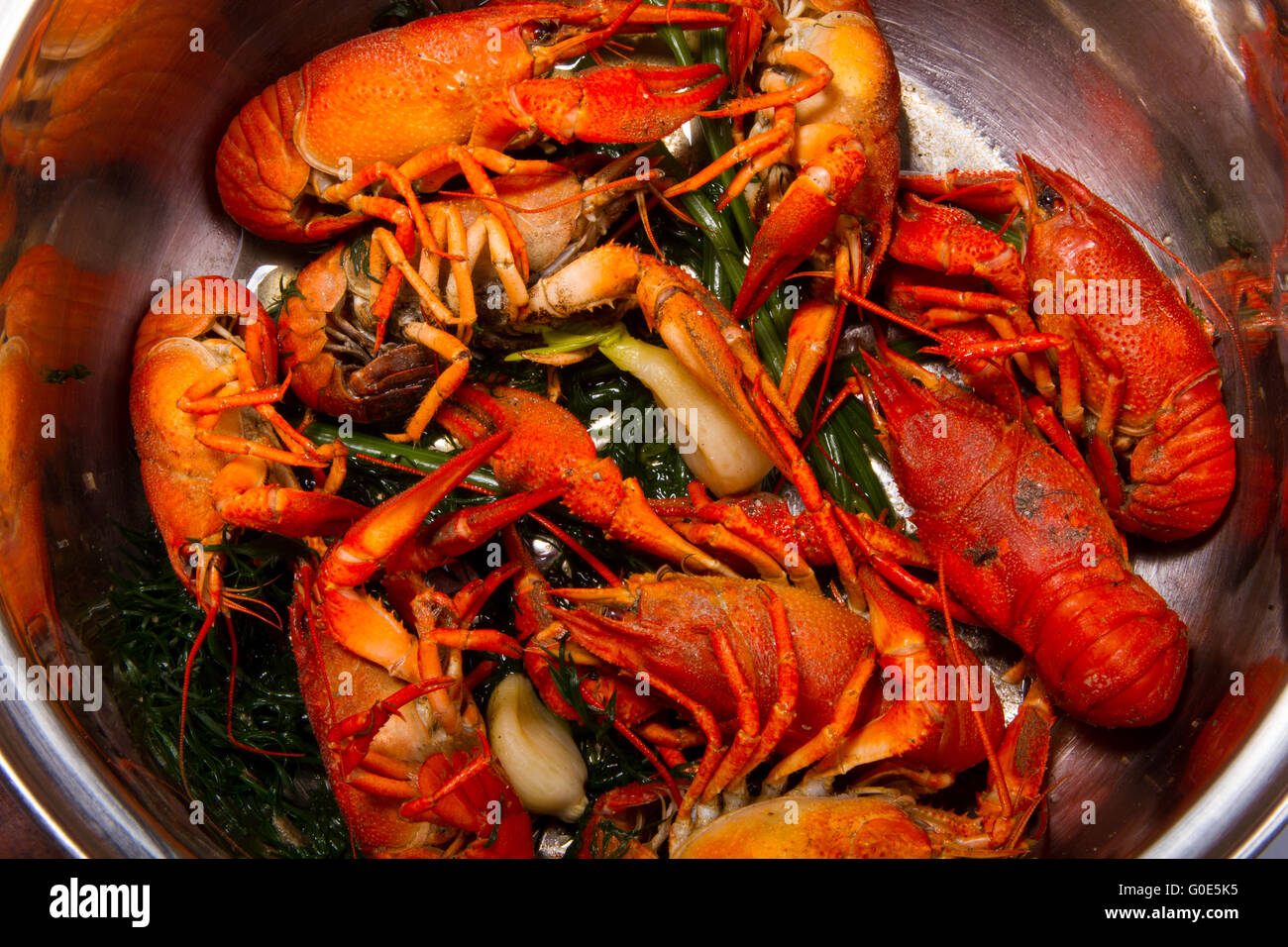 Crayfish Stock Photo