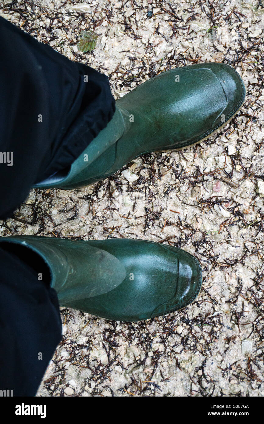 green wellington boots womens