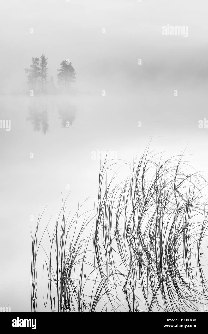 Reflexionen silhouetten Black and White Stock Photos & Images - Alamy