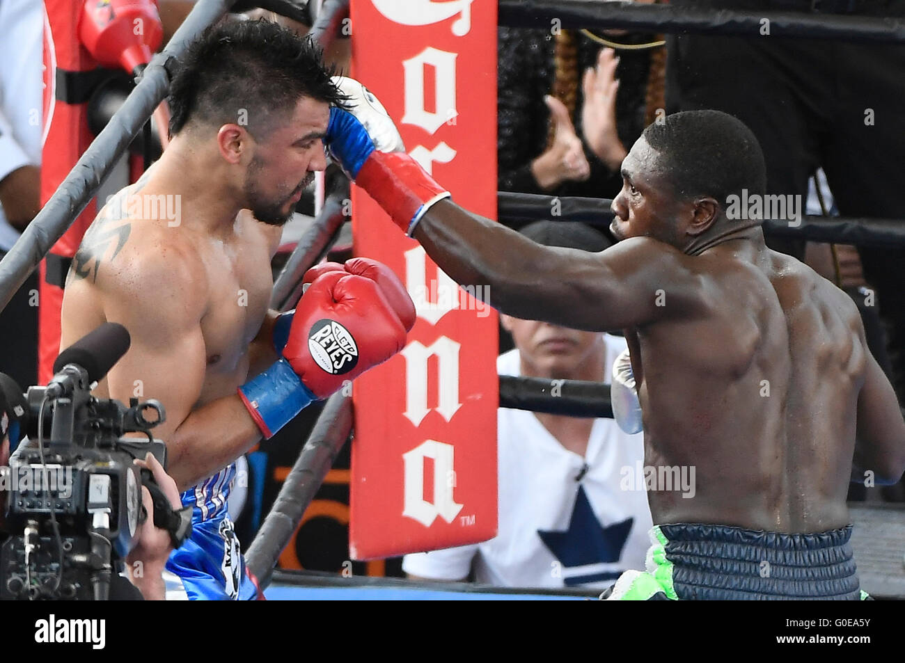 Carson Ca. 30th Apr, 2016. (in Wht/Blk/Grn trunks) Andre Berto goes 4 round with Victor Ortiz Saturday at the StubHub center. Andre Berto took the win by KO over Victor Ortiz as he was knock down in the middle of the 4th round as the fight was stop on Premier Boxing Champions. photo by Gene Blevins/LA DailyNews/ZumaPress © Gene Blevins/ZUMA Wire/Alamy Live News Stock Photo
