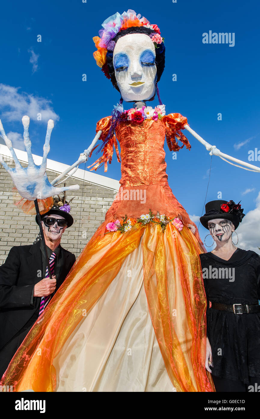 Ballydehob, Ireland. 30th April 2016. Controlling the puppet in the  Ballydehob Jazz Festival 'Day of the Dead' themed New Orleans Style Jazz Funeral were Dr. Dink and Siobhan Heapes, both from Ballydehob. Credit: Andy Gibson/Alamy Live News Stock Photo