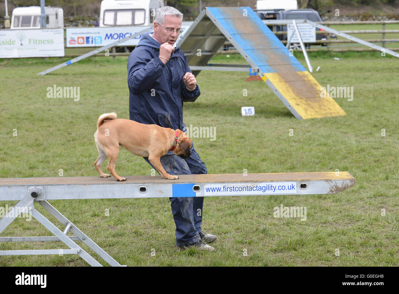 Cromford, Matlock, Derbyshire, UK. 1st May 2016. Dog Vegas agility show