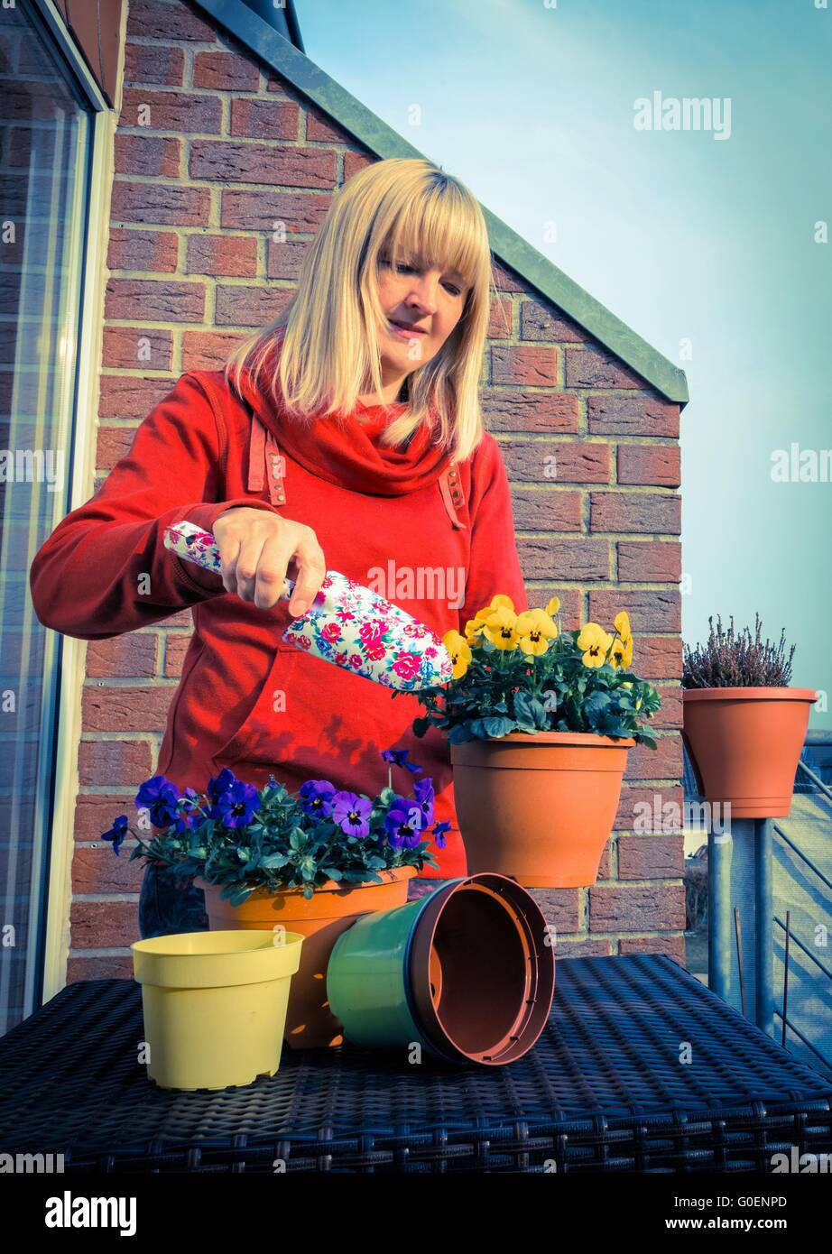 Planting flowers in spring Stock Photo