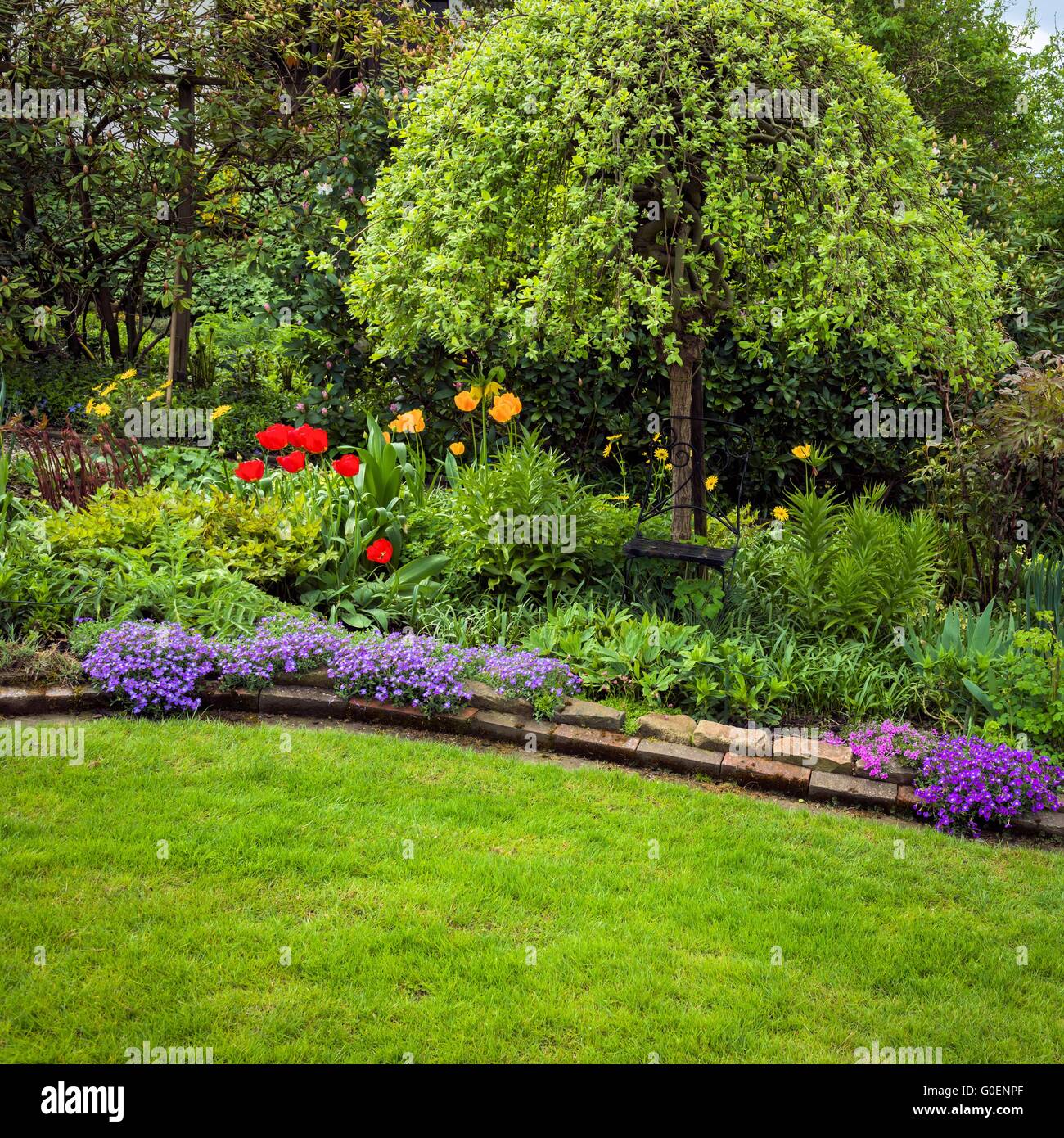 Garden with tree in spring Stock Photo - Alamy