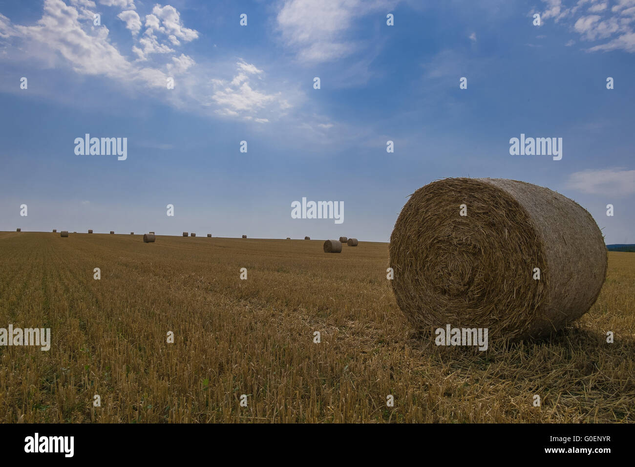 Straw bales on wheat field Stock Photo